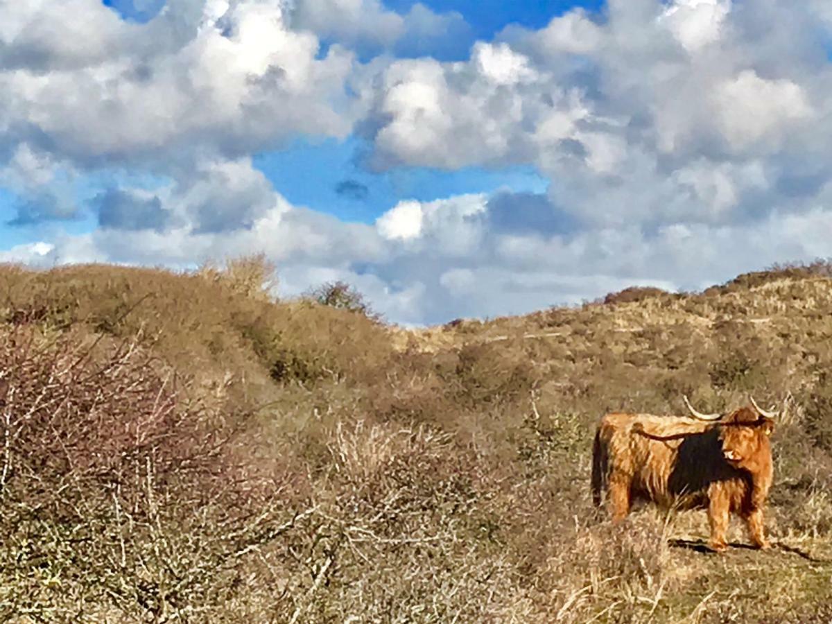 Achter De Duinen Lägenhet Zandvoort Exteriör bild