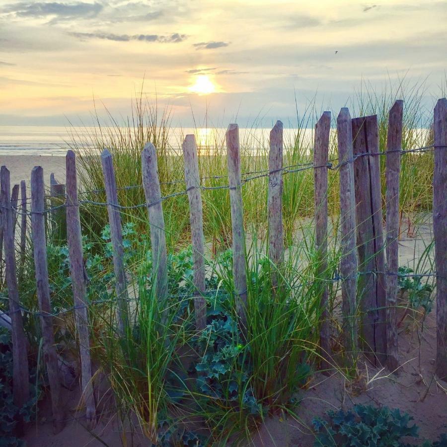 Achter De Duinen Lägenhet Zandvoort Exteriör bild